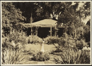 Mrs. Hussey's garden at 43 Chestnut Street, Salem, MA