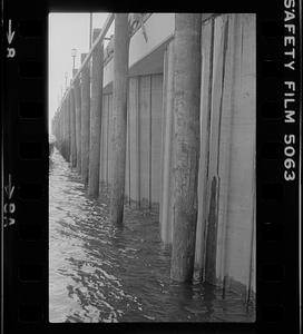 Waterfront pilings