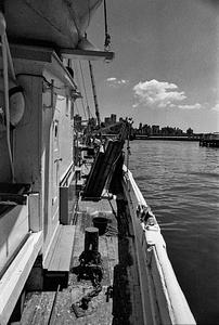 The lady docked in Miami