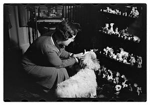 Miss Liddie A Livevey, collector of miniature dogs, 400, 1 live one