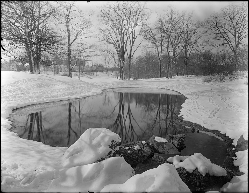 Willow Spring Pond