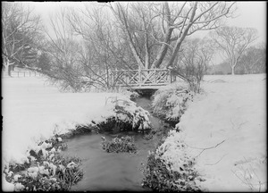 Shaw's Brook