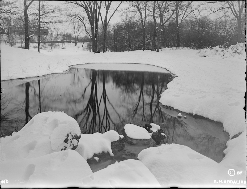 Willow Spring Pond