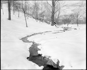 Ward's Brook