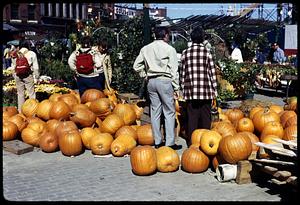 Pumpkins and plants for sale outdoors on Dock Square