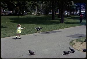 A girl running toward pigeons