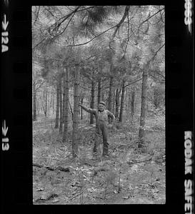 Ed Bartlett Salisbury and trees