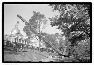Tree removal