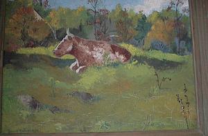 Bull in Pasture