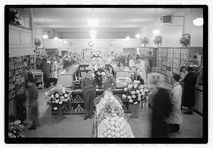 Store in Newton
