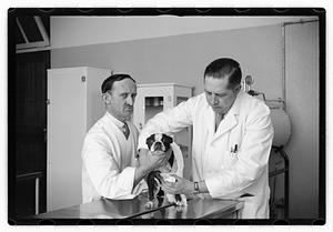 Dr. Dailey Angell Memorial Animal Hospital