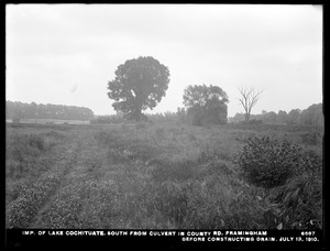 Sudbury Department, improvement of Lake Cochituate, south from culvert in county road, before constructing drain, Framingham, Mass., Jul. 13, 1910