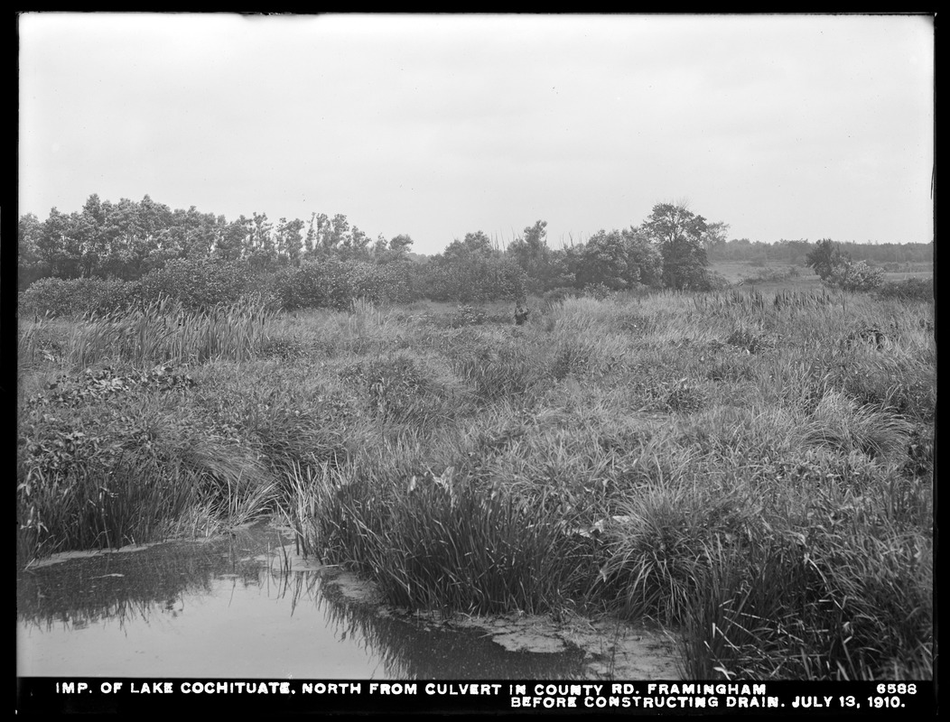 Sudbury Department, improvement of Lake Cochituate, north from culvert in county road, before constructing drain, Framingham, Mass., Jul. 13, 1910
