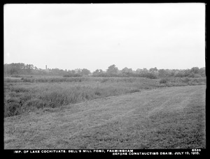 Sudbury Department, improvement of Lake Cochituate, Bell's Mill Pond, before constructing drain, Framingham, Mass., Jul. 13, 1910