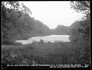 Sudbury Department, improvement of Lake Cochituate, land of Commonwealth, southeast from county road, before constructing drain, Natick, Mass., Jul. 13, 1910