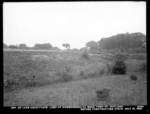 Sudbury Department, improvement of Lake Cochituate, land of Commonwealth near Pond Street, before constructing drain, Wayland, Mass., Jul. 13, 1910