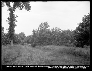 Sudbury Department, improvement of Lake Cochituate, land of Commonwealth near Hammond's Brook, before constructing drain, Wayland, Mass., Jul. 13, 1910
