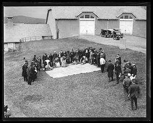 Sheep shearing contest, Amherst, MA