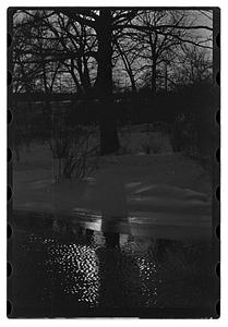 Snow pictures - Fenway