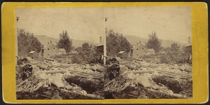 Willow dell after 1867 flood