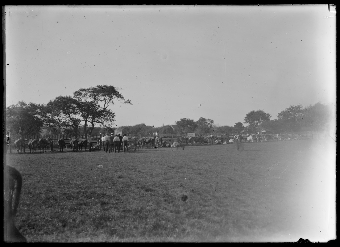 Looking across a field, three men in background