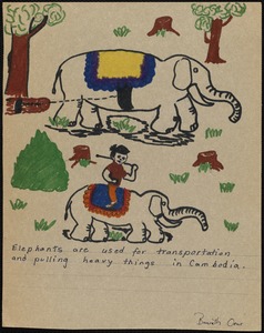 Elephants are used for transportation