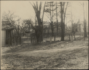 Photograph of a yard with shack to the left