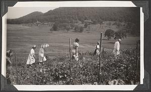 A group of people going up a hill