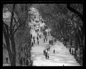 Big marble contest on Boston Common Mall