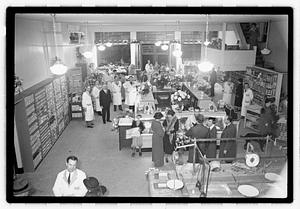 Store in Newton