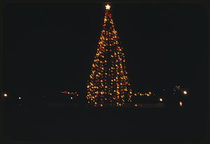 Christmas scene, Boston Common