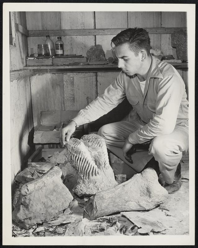 Fossil Hunter. Lester Kent, Jr., of Hayward, Calif., One of the group