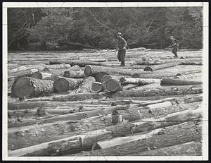 Loggers in Big Drive. It was heave and ho for loggers on the rapid river as they drove thousands of feet of timer down to Umbagog Lake, Me., in one of the year's biggest drives in New England. Here are loggers unscrambling a jam during the big push.