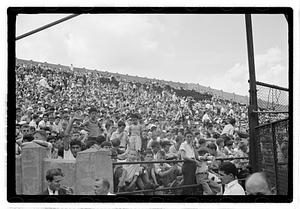 Baseball, Braves Field