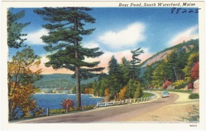 Bear Pond, South Waterford, Maine