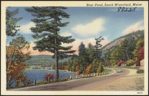 Bear Pond, South Waterford, Maine