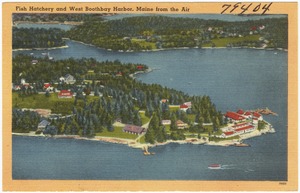 Fish Hatchery and West Boothbay Harbor, Maine from the Air
