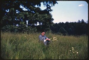 E. L. Mitchell, Arnold Arboretum