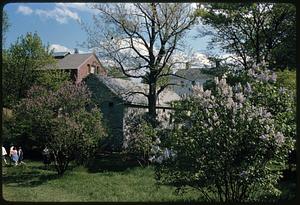 Lawn, flowering plants, and trees with houses behind