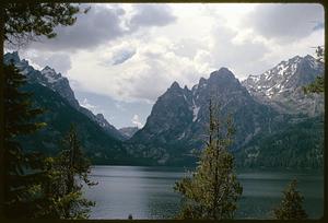 Landscape with trees in front of mountain lake, likely Wyoming