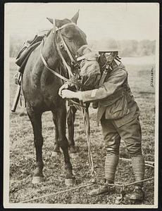 Military Emergency Meeting At Aldershot. A series of Military Efficiency competitions for the Aldershot, was held at Aldershot. A number of military attaches representing the allied nations were interested spectators. The modern cavalryman must see that his horse is fitted with a gas mask.