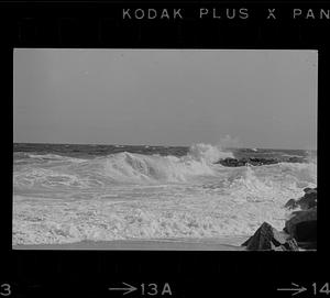 Plum Island beach and surf