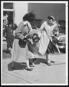 Steadying Influence of two older girls helped this little lady battle the breezes as the three braved March winds yesterday for a shopping trip in Boston.