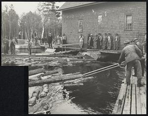 Logs on the Move - For the first time in 30 years a drive of 12-foot-high white pine logs was released into the Rapid river, Maine, to float down to the plants of Brown Co., pulp and paper products, at Berlin, N.H. Right-hand picture shows the beginning of the drive. The logs are moving into the dam, which is under the wooden building in the picture. The lower left hand photo shows the logs racing down the sluiceways into the Rapid river. At upper left, Laurence F. Whittemore (in checked shirt), president of Brown Co., inspects the start of the drive from a raft.