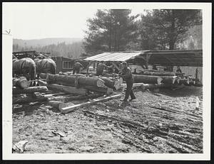 The heavy demand for box lumber used in packaging shells and explosives, and the farmers' instability to transport logs over distances, have brought into being a number of portable sawmills throughout New England. A "Logs for Victory" campaign started the farmers off during the Winter "slack months" in the business of log-cutting. The logs were hauled over the snow and piled near the site of the mills. Came Spring -- the mill operators made collections and went to work.