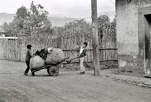 Boys and wagon