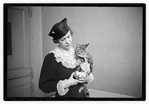 Cat show