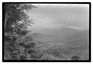 Pictures taken by Chu-Chu in Porto Rico