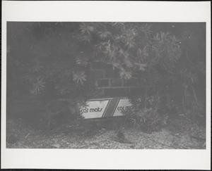 Litter among hedges