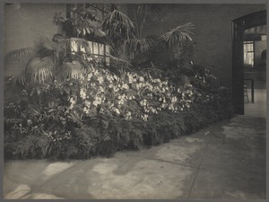 Horticultural Hall. First exhibition, June 1901